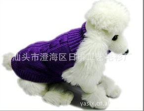 从澄海到全球 日申工艺毛衫厂与“大白宠物”的温暖旅程