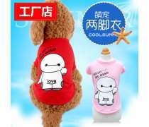 上海市闵行区 探索“大白宠物”现象——从内衣内裤看都市养宠新风尚